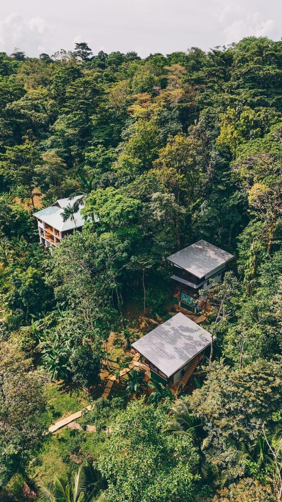 Roam Yoga & Wellness Lodge Bocas del Toro Esterno foto